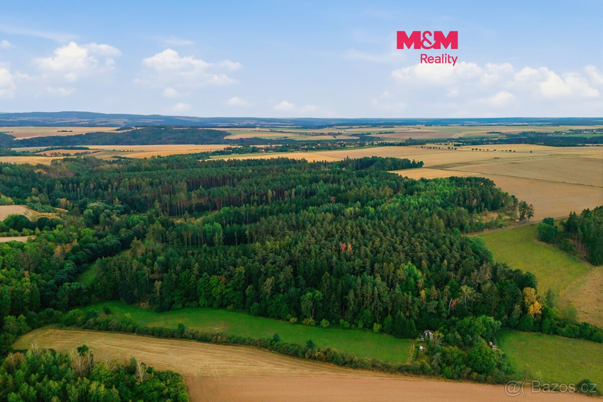 Prodej 1/4 lesa 3520 m2, Břežany u Rakovníka