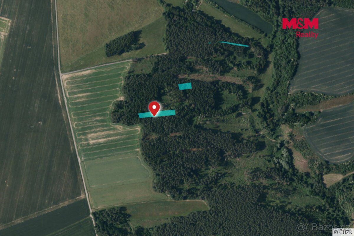 Prodej 1/4 lesa 3520 m2, Břežany u Rakovníka