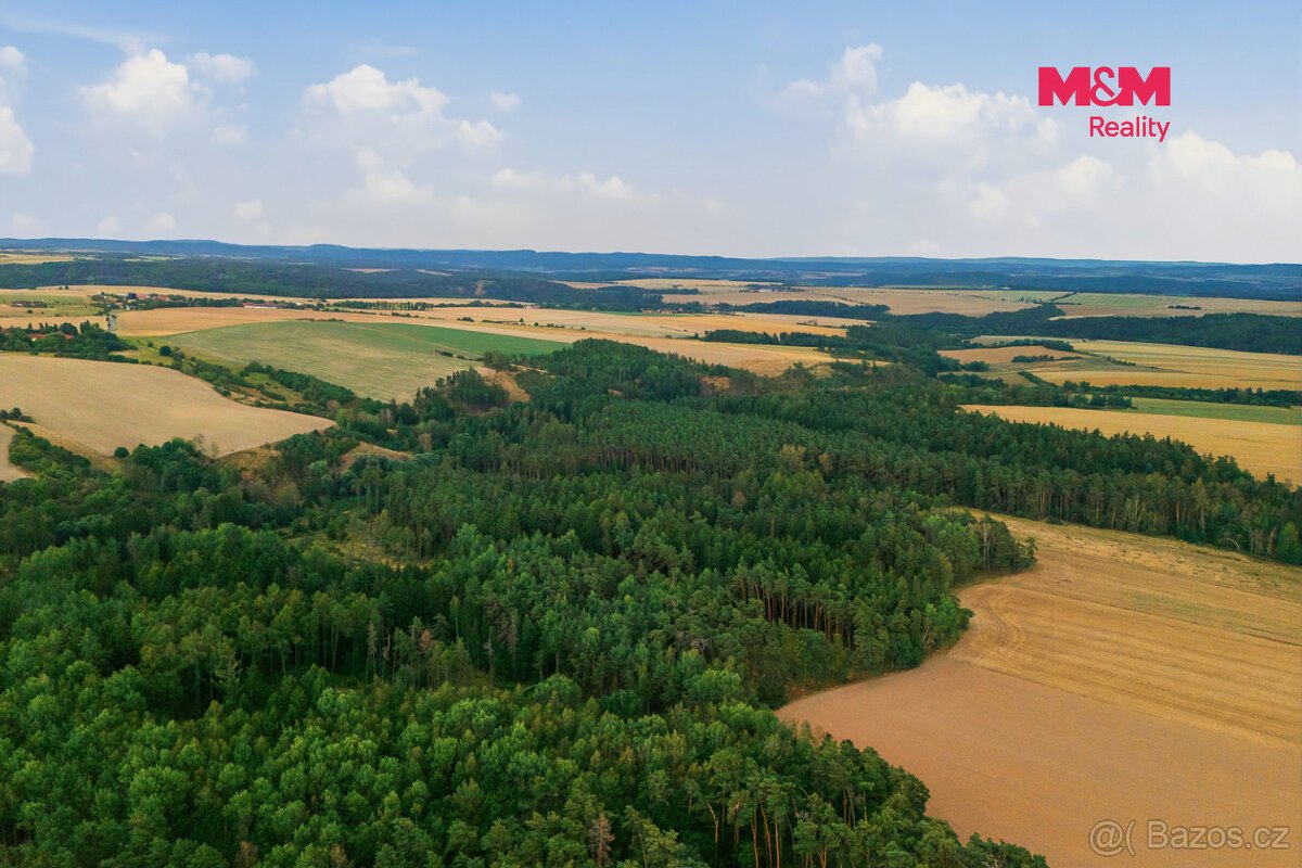 Prodej 1/4 lesa 3520 m2, Břežany u Rakovníka