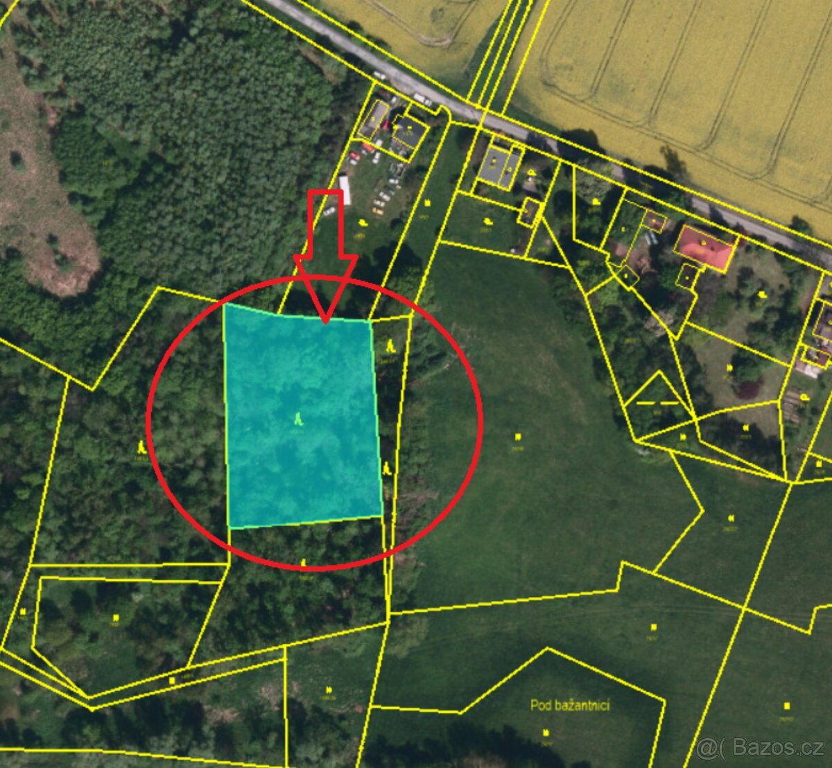 Prodej lesního pozemku v k.ú. Bartovice