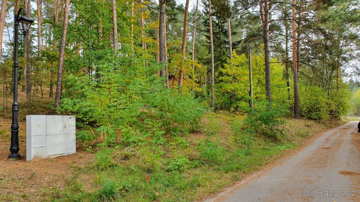 STAVEBNÍ POZEMEK u Hamerského jezera