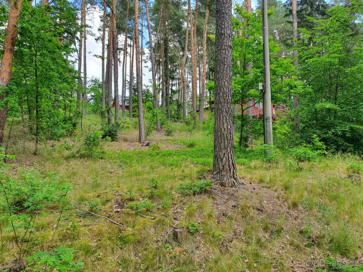 STAVEBNÍ POZEMEK u Hamerského jezera