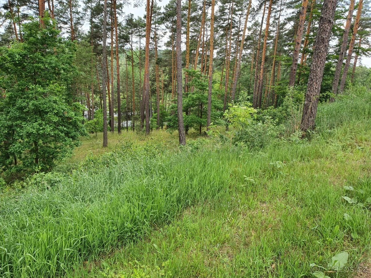 STAVEBNÍ POZEMEK u Hamerského jezera