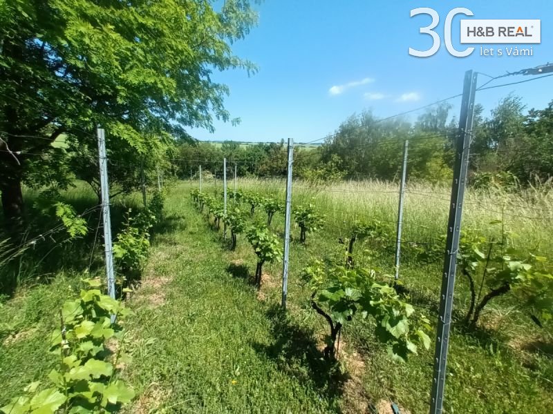 Stavební pozemek Čeložnice u Kyjova