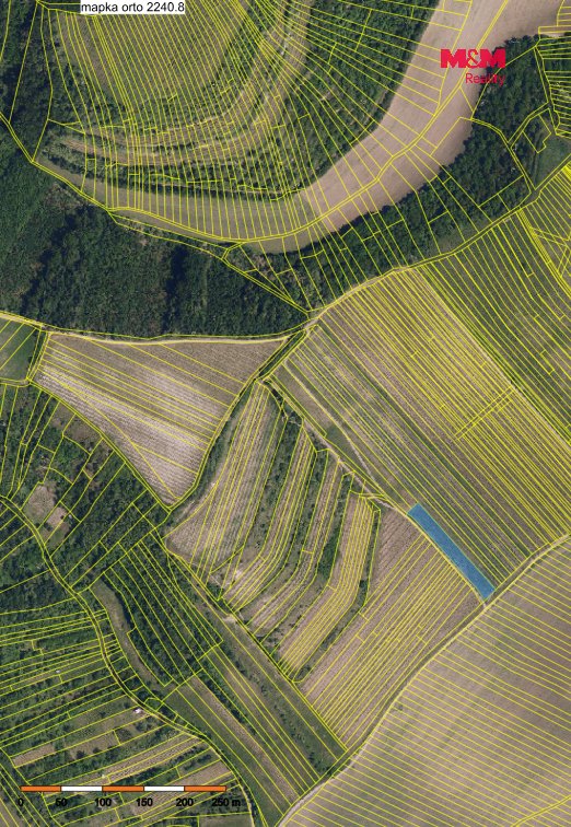 Prodej vinice, 2899 m², Brumovice - Břeclav