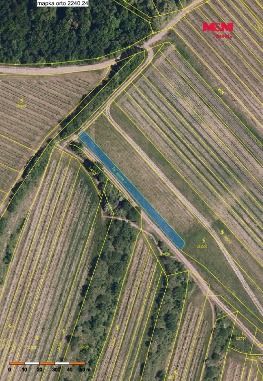Prodej vinice, 2899 m², Brumovice - Břeclav