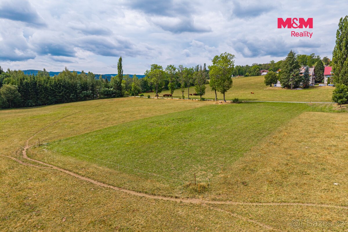 Prodej pozemku k bydlení, 2388 m², Stachy