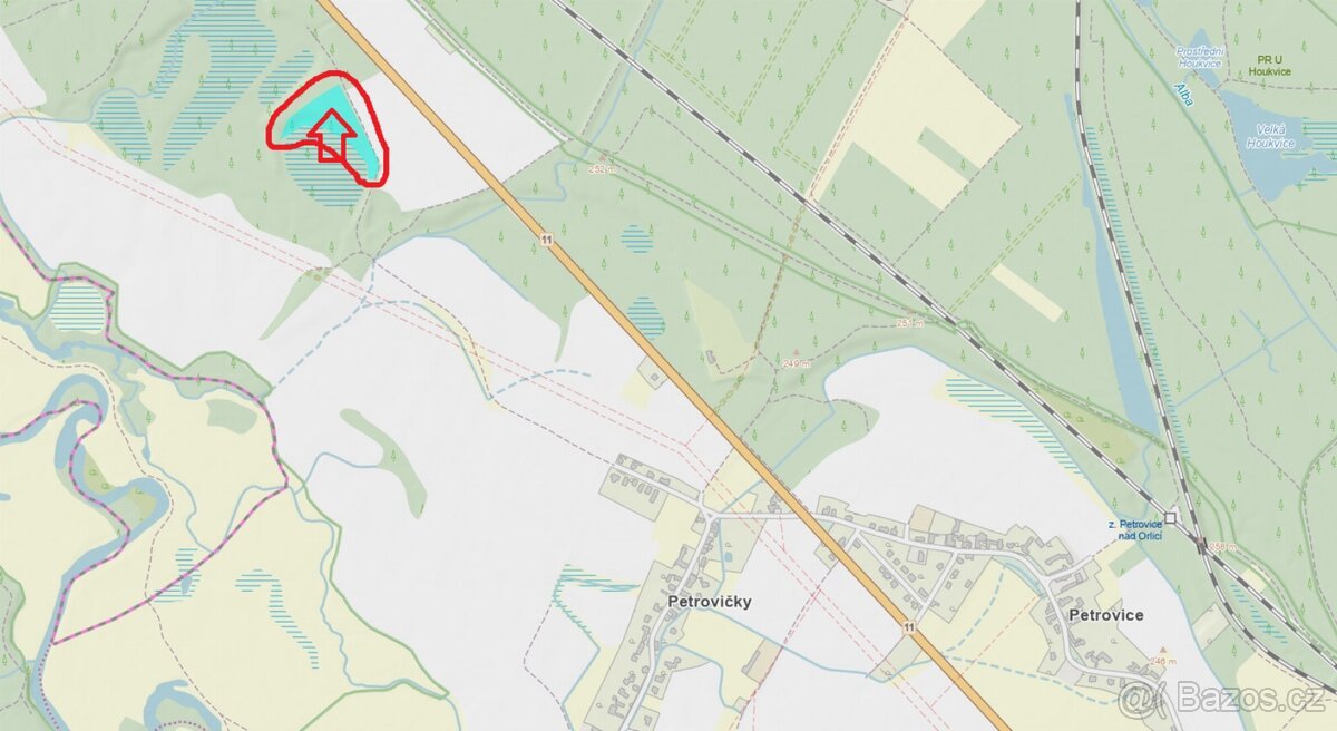 Prodej lesního pozemku k.ú. Petrovice nad Orlicí (2)