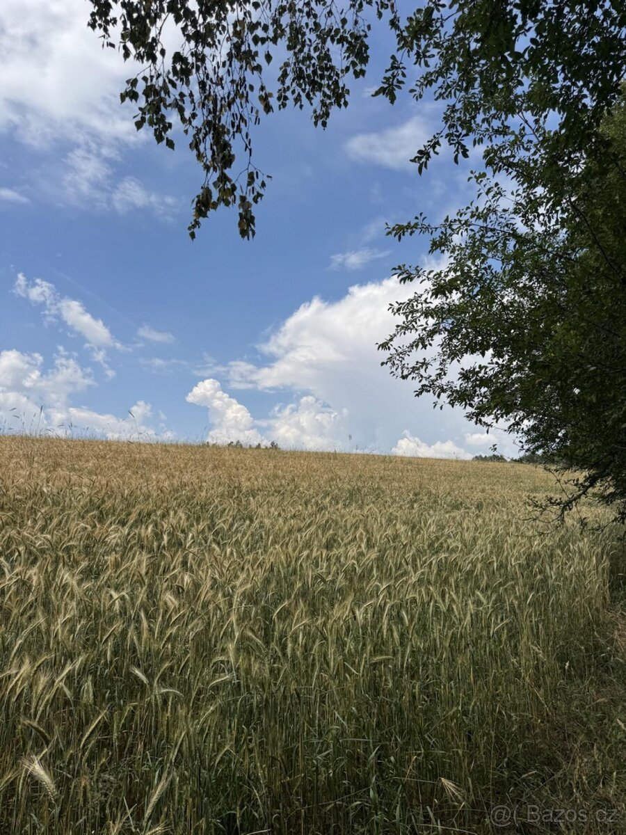 Prodej pozemku k.ú. Jedlí (1)