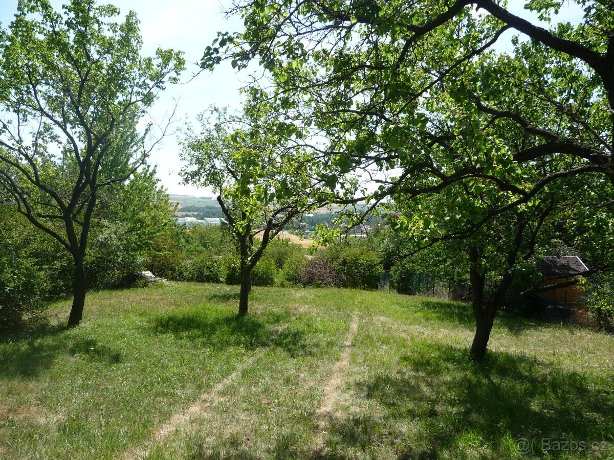 Prodej slunného pozemku (zahrada/sad)