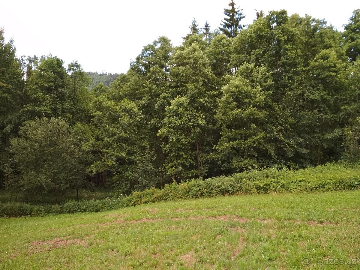 Pozemek k zástavbě a přidružené louky - Benešov u Semil
