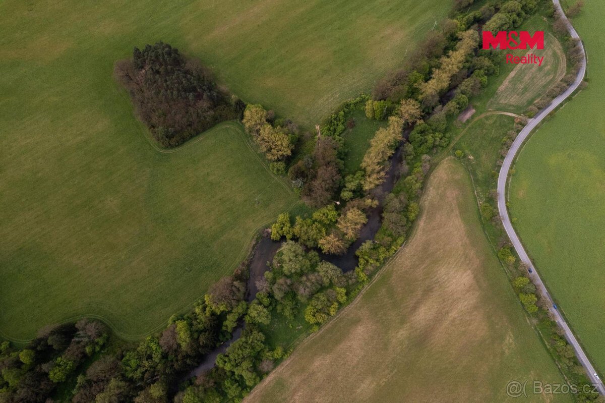 Prodej lesa, 7342 m², Borohrádek