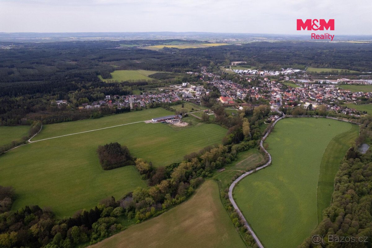 Prodej lesa, 7342 m², Borohrádek