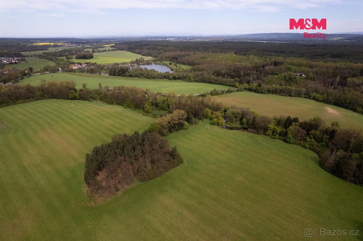 Prodej lesa, 7342 m², Borohrádek