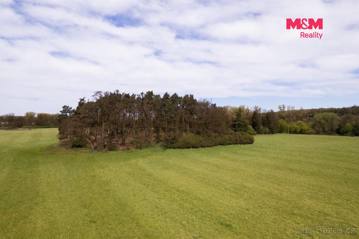 Prodej lesa, 7342 m², Borohrádek