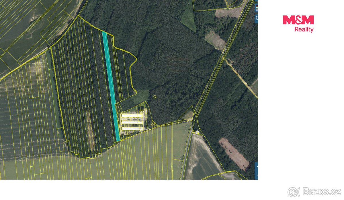 Prodej lesa, 8906 m², Městec Králové