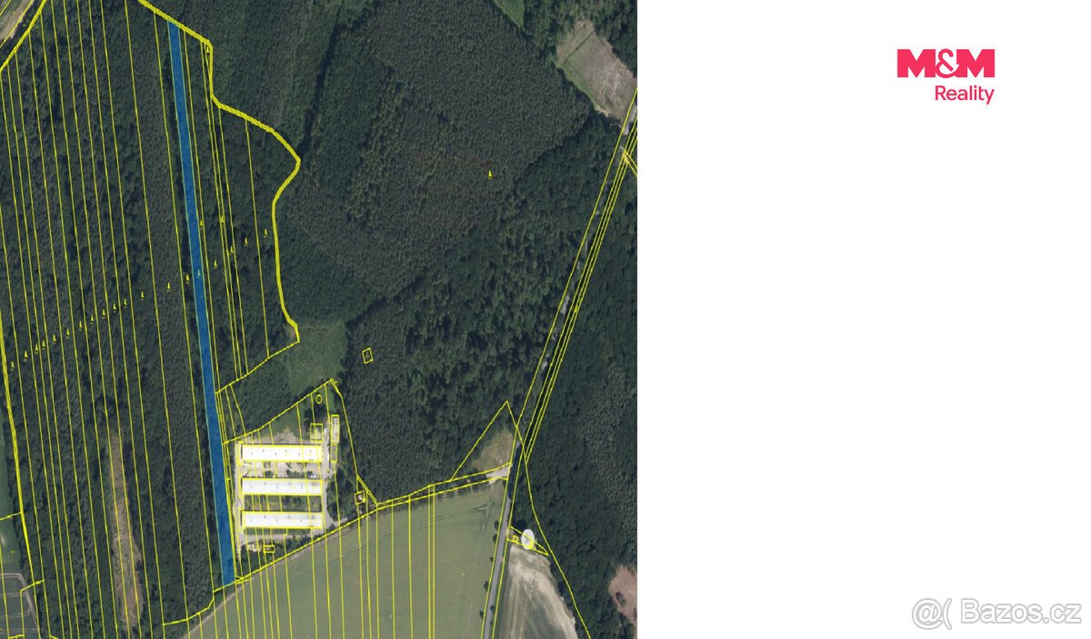 Prodej lesa, 8906 m², Městec Králové