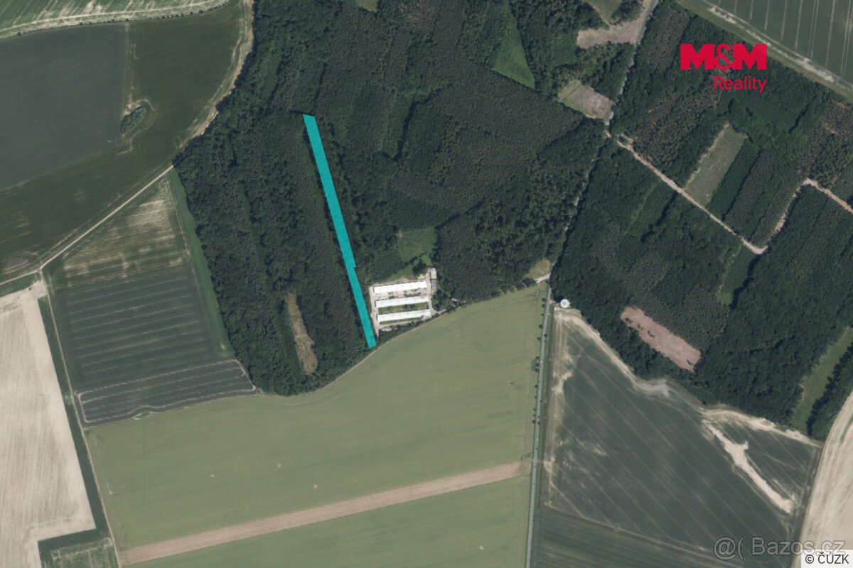 Prodej lesa, 8906 m², Městec Králové