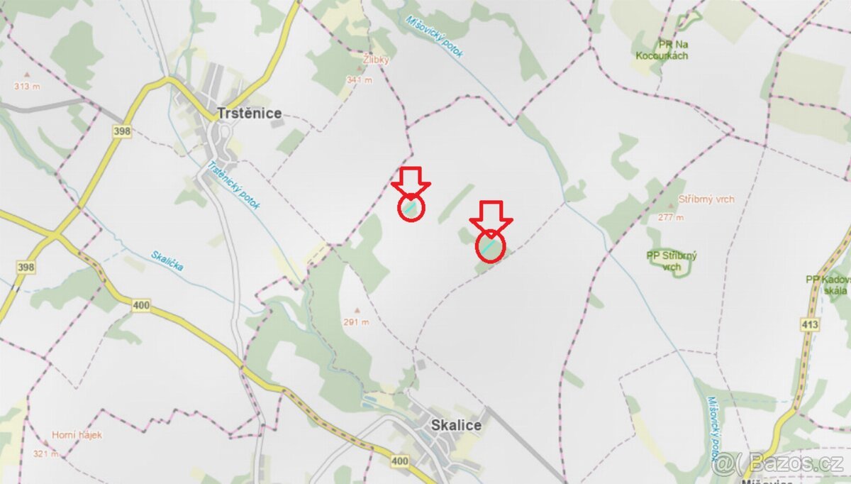 Prodej lesních pozemků k.ú. Skalice u Znojma