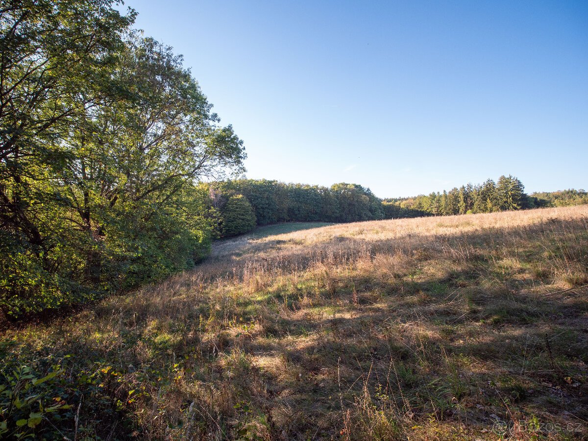 Prodej přírodního pozemku 8 384 m² - Vysoká u Jevíčka