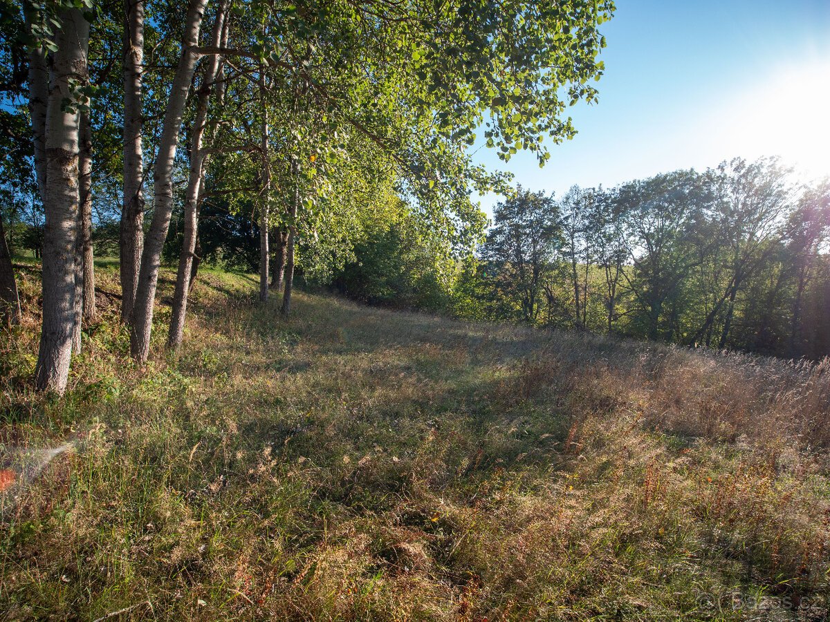 Prodej přírodního pozemku 8 384 m² - Vysoká u Jevíčka