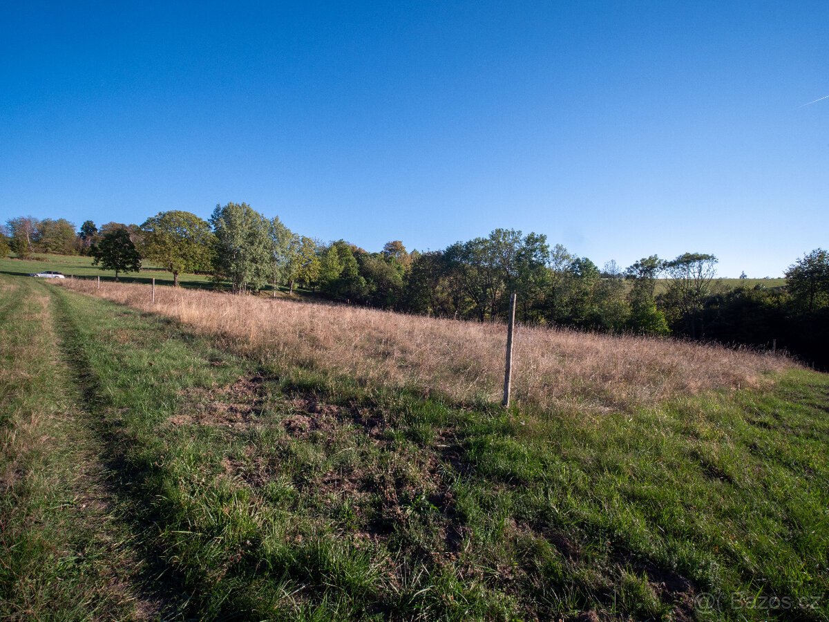 Prodej přírodního pozemku 8 384 m² - Vysoká u Jevíčka