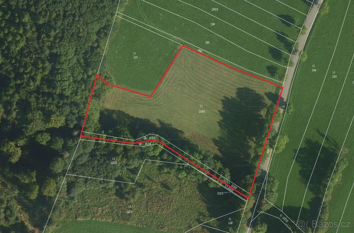 Prodej přírodního pozemku 8 384 m² - Vysoká u Jevíčka