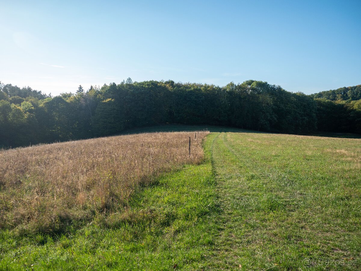 Prodej přírodního pozemku 8 384 m² - Vysoká u Jevíčka
