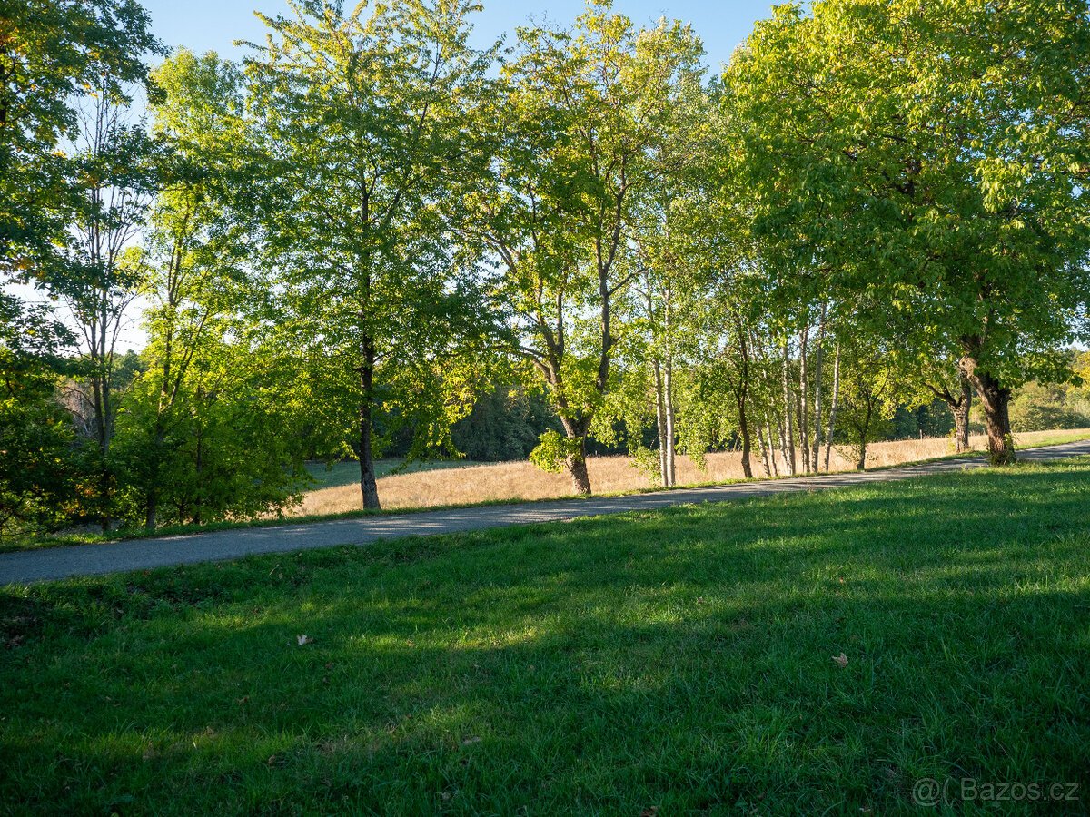 Prodej přírodního pozemku 8 384 m² - Vysoká u Jevíčka
