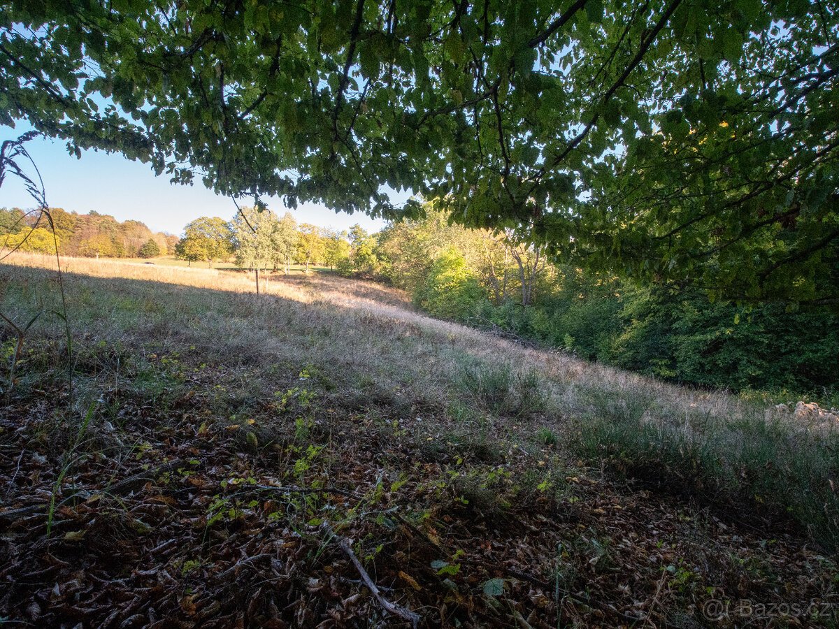 Prodej přírodního pozemku 8 384 m² - Vysoká u Jevíčka