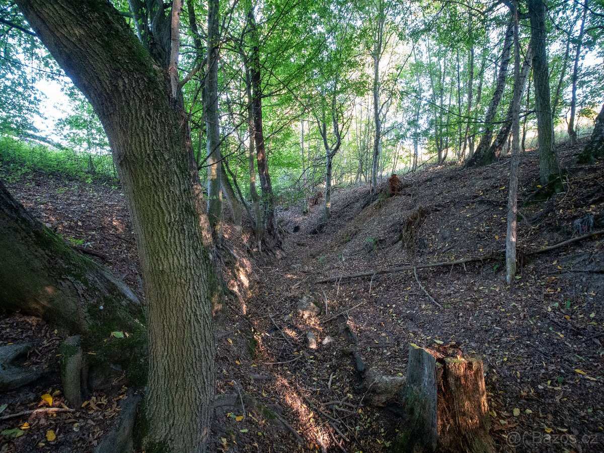 Prodej přírodního pozemku 8 384 m² - Vysoká u Jevíčka