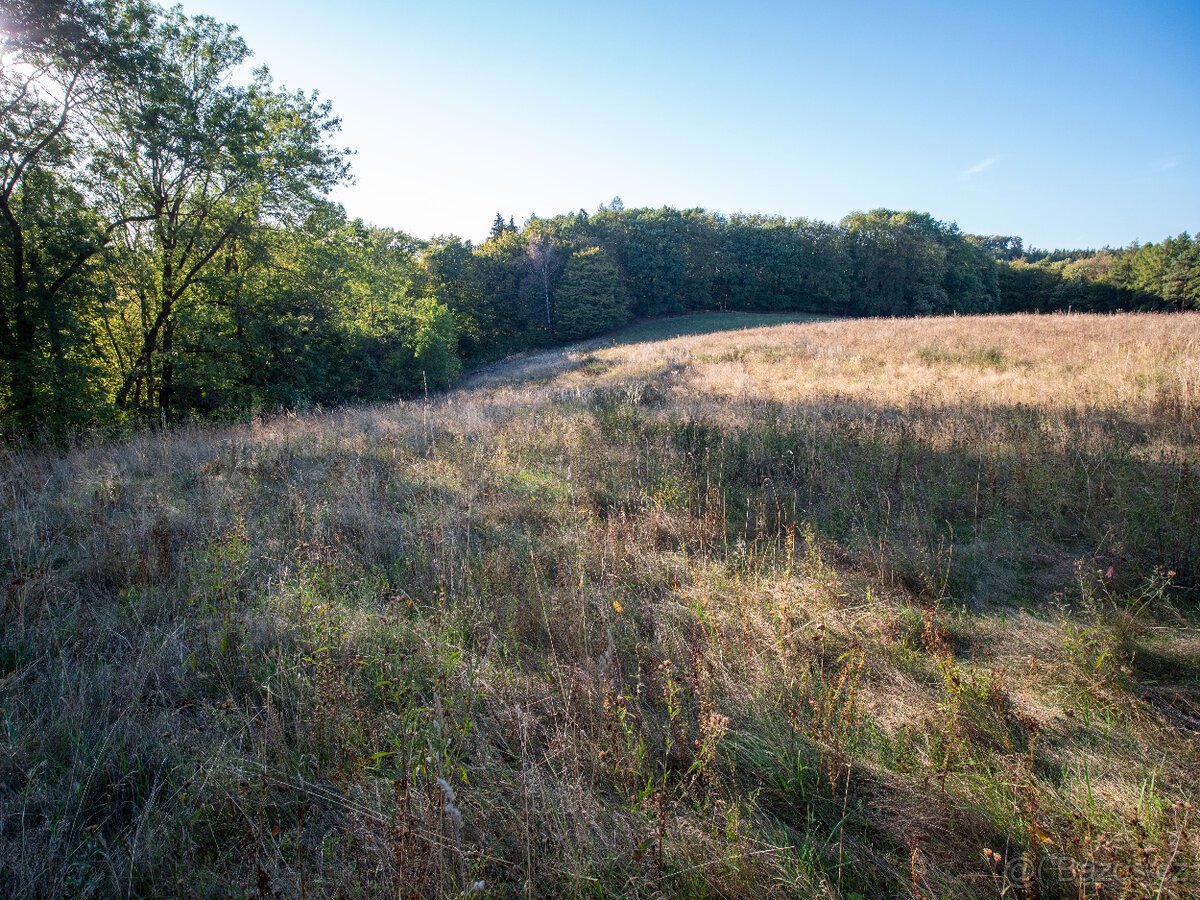 Prodej přírodního pozemku 8 384 m² - Vysoká u Jevíčka