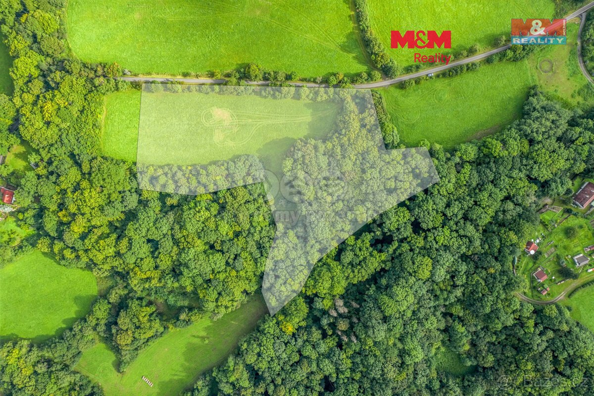 Prodej pastviny s lesním pozemkem 22.174 m² v Homoli u Panny