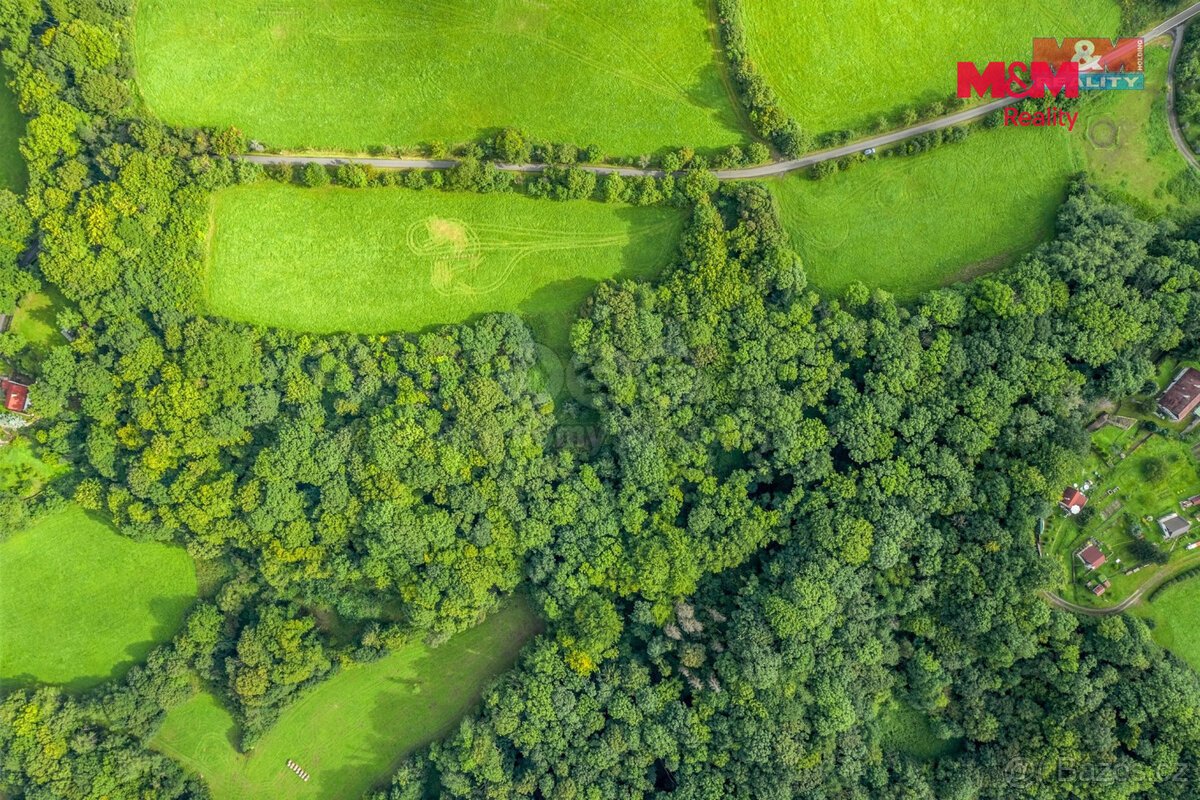 Prodej pastviny s lesním pozemkem 22.174 m² v Homoli u Panny