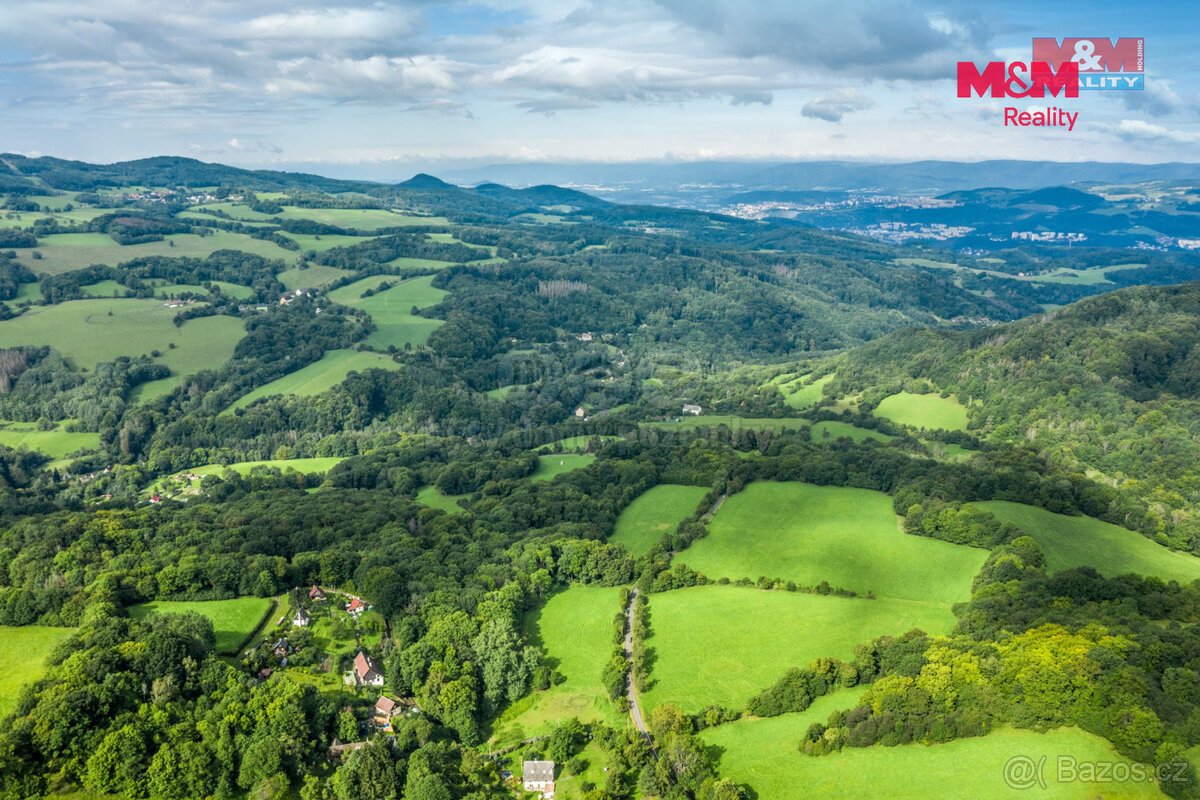 Prodej pastviny s lesním pozemkem 22.174 m² v Homoli u Panny