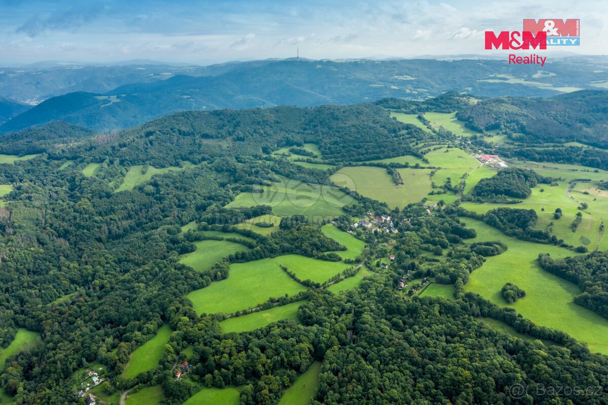Prodej pastviny s lesním pozemkem 22.174 m² v Homoli u Panny