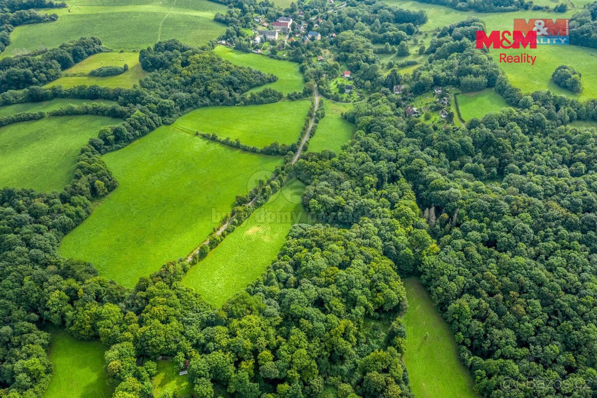 Prodej pastviny s lesním pozemkem 22.174 m² v Homoli u Panny