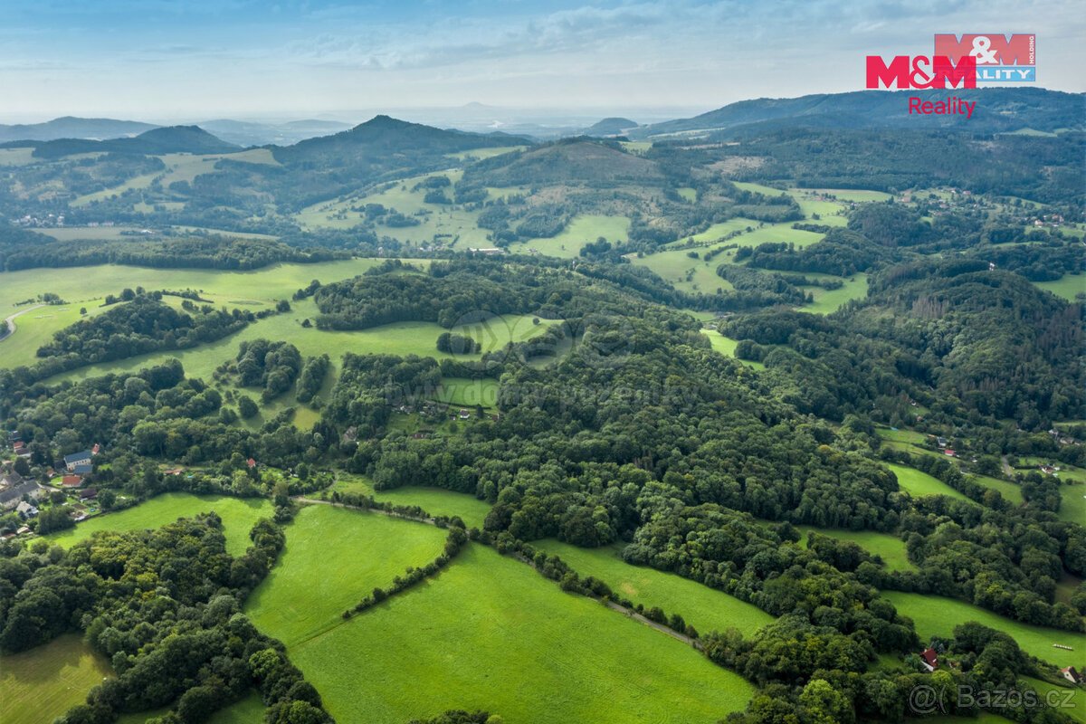 Prodej pastviny s lesním pozemkem 22.174 m² v Homoli u Panny