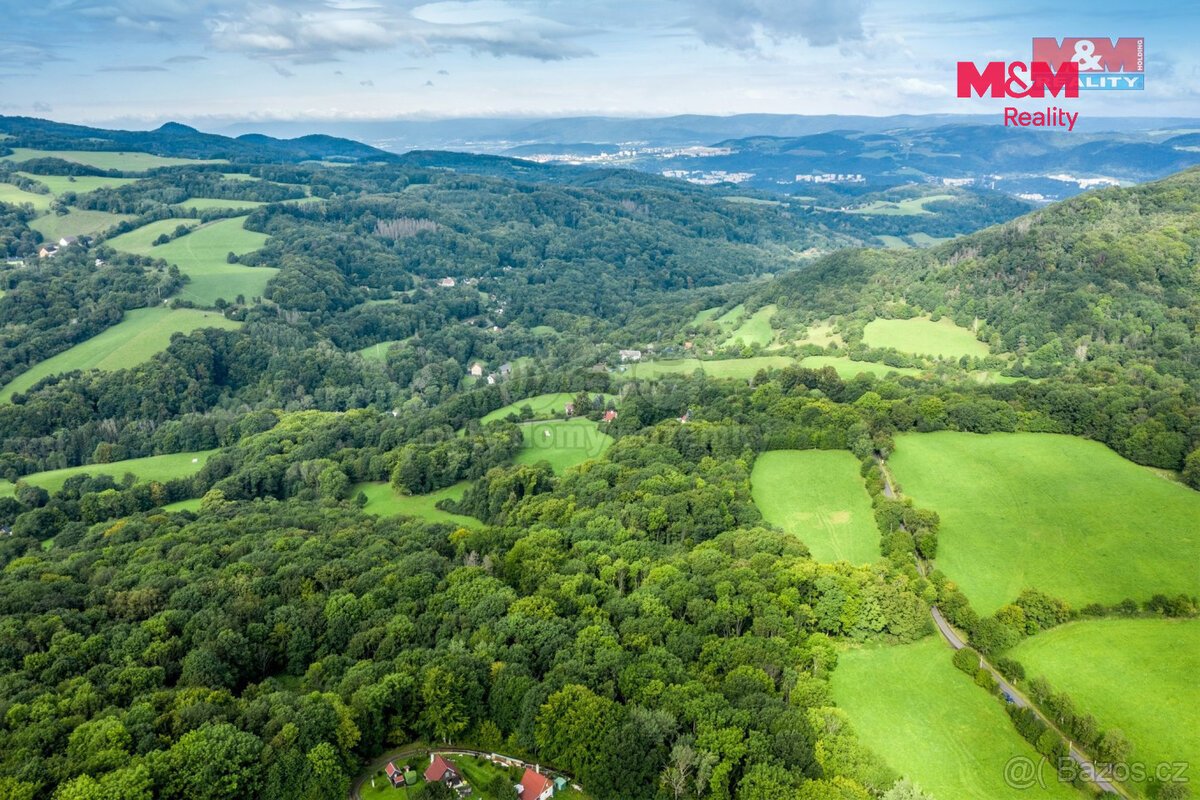 Prodej pastviny s lesním pozemkem 22.174 m² v Homoli u Panny