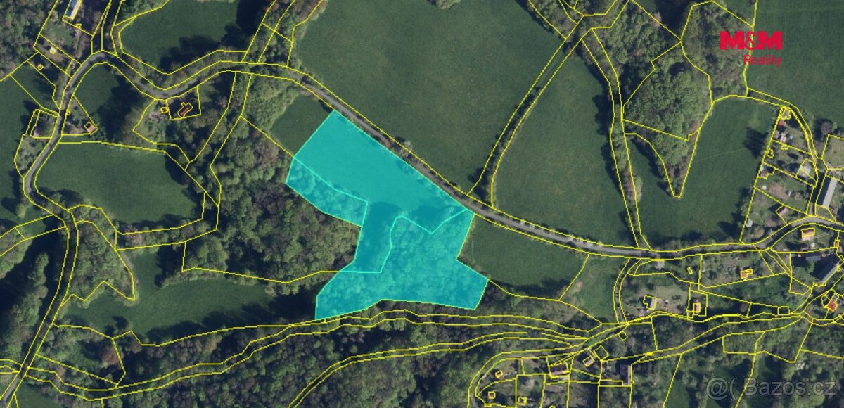 Prodej pastviny s lesním pozemkem 22.174 m² v Homoli u Panny