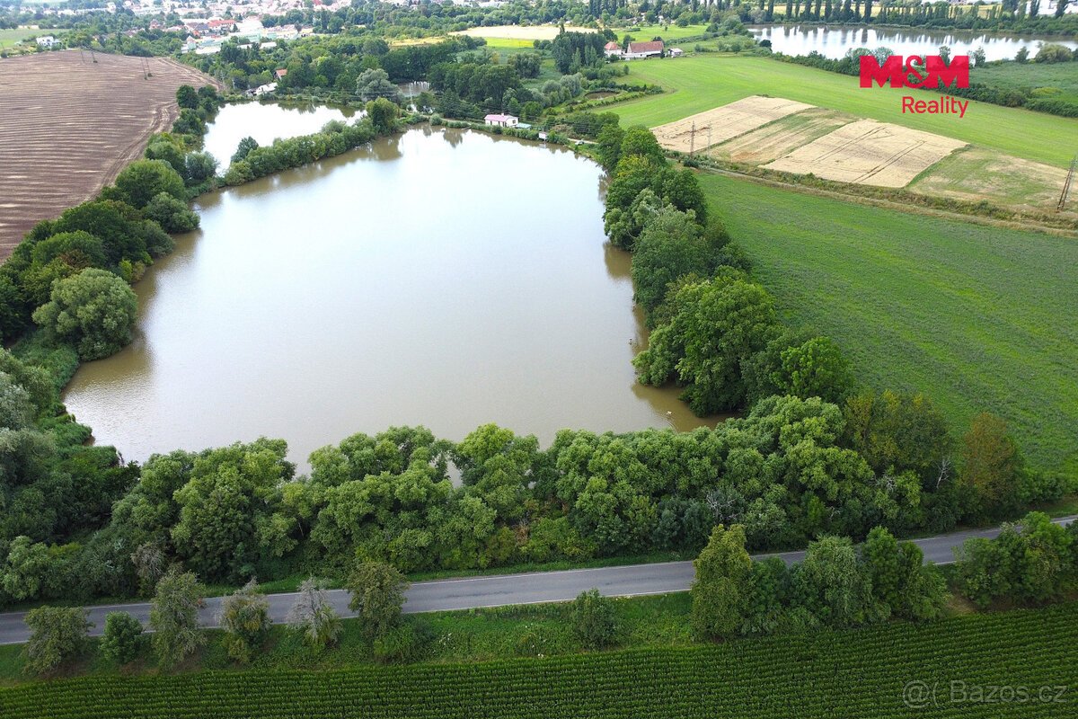 Prodej pozemků 6053 m², Liblice u Českého Brodu