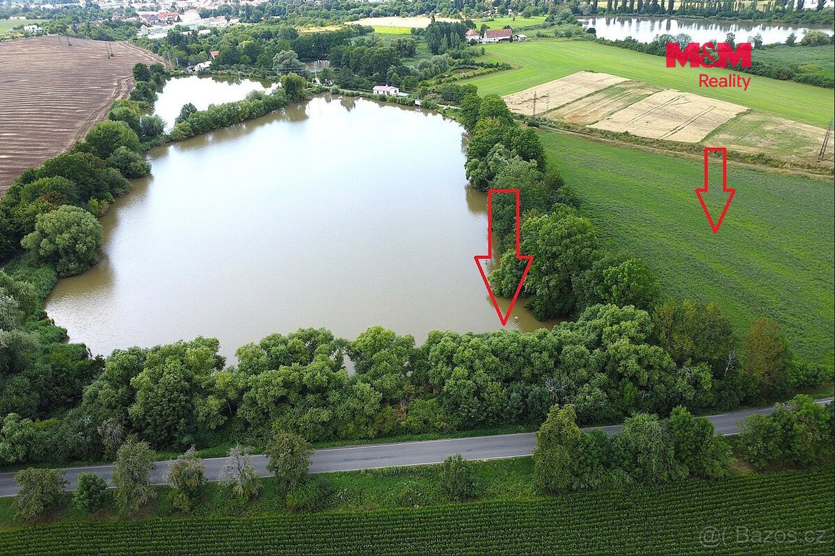 Prodej pozemků 6053 m², Liblice u Českého Brodu