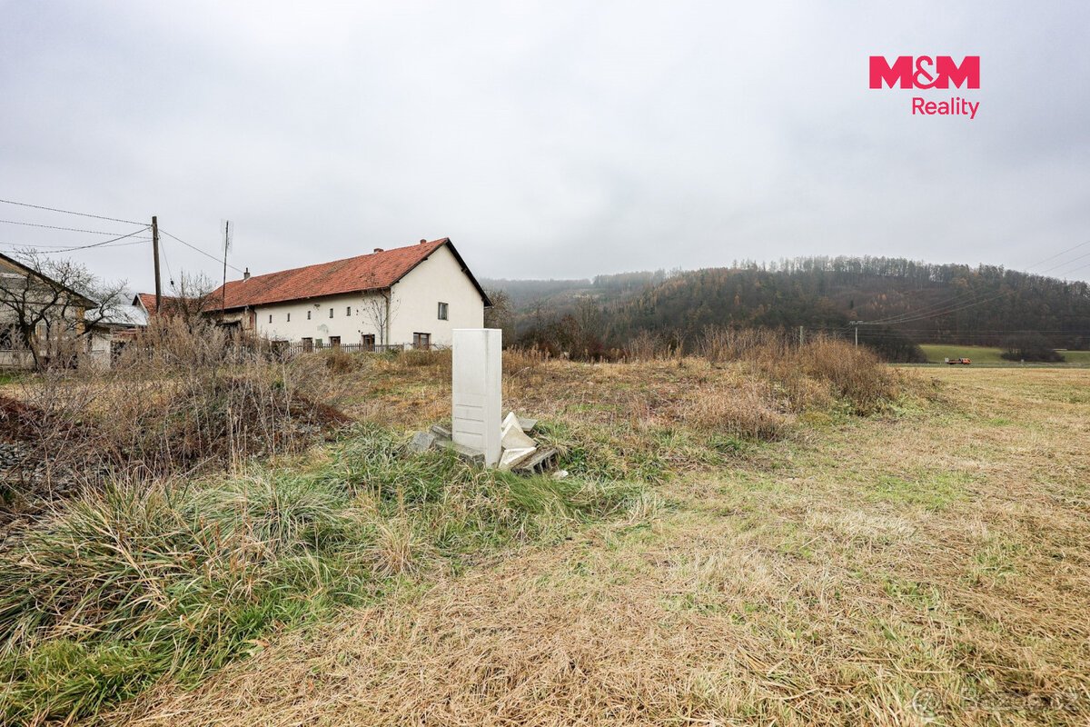 Prodej pozemku k bydlení, 5075 m², Odry - Loučky