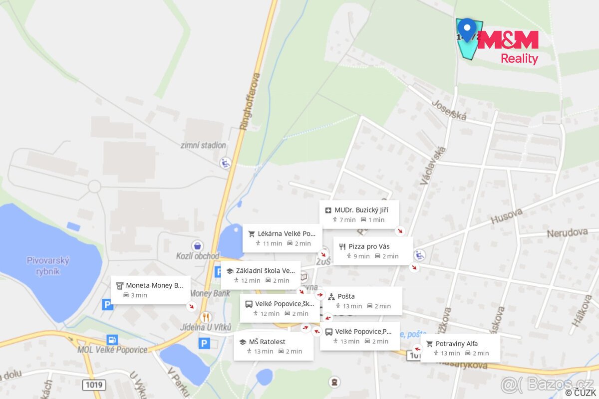 Prodej louky, pastviny 3090 m² v Velkých Popovicích