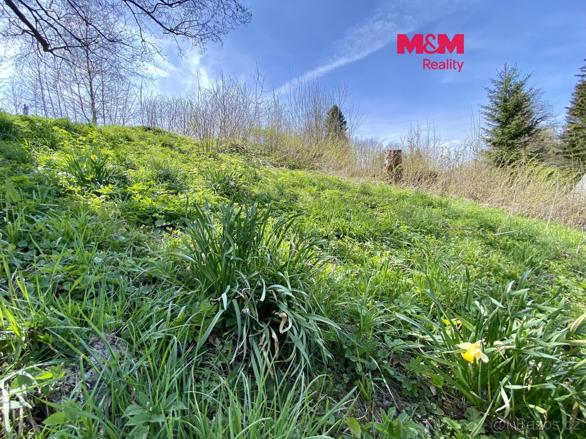 Prodej pozemku, 1153 m², Bartošovice v Orlických horách