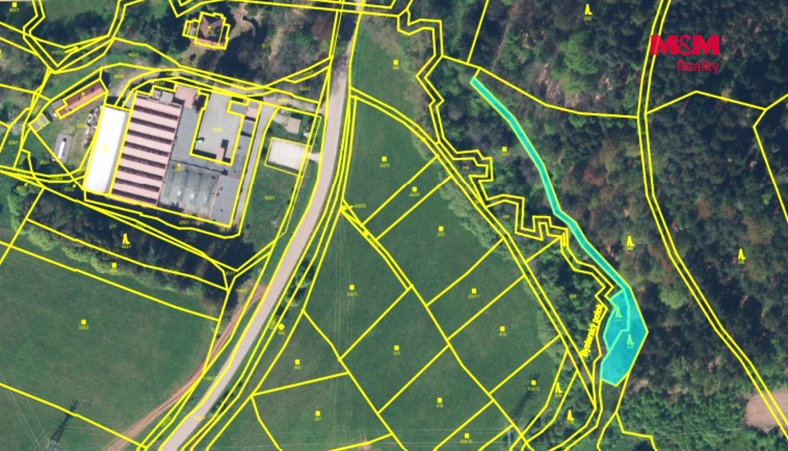 Prodej lesa, 640 m², Stárkov