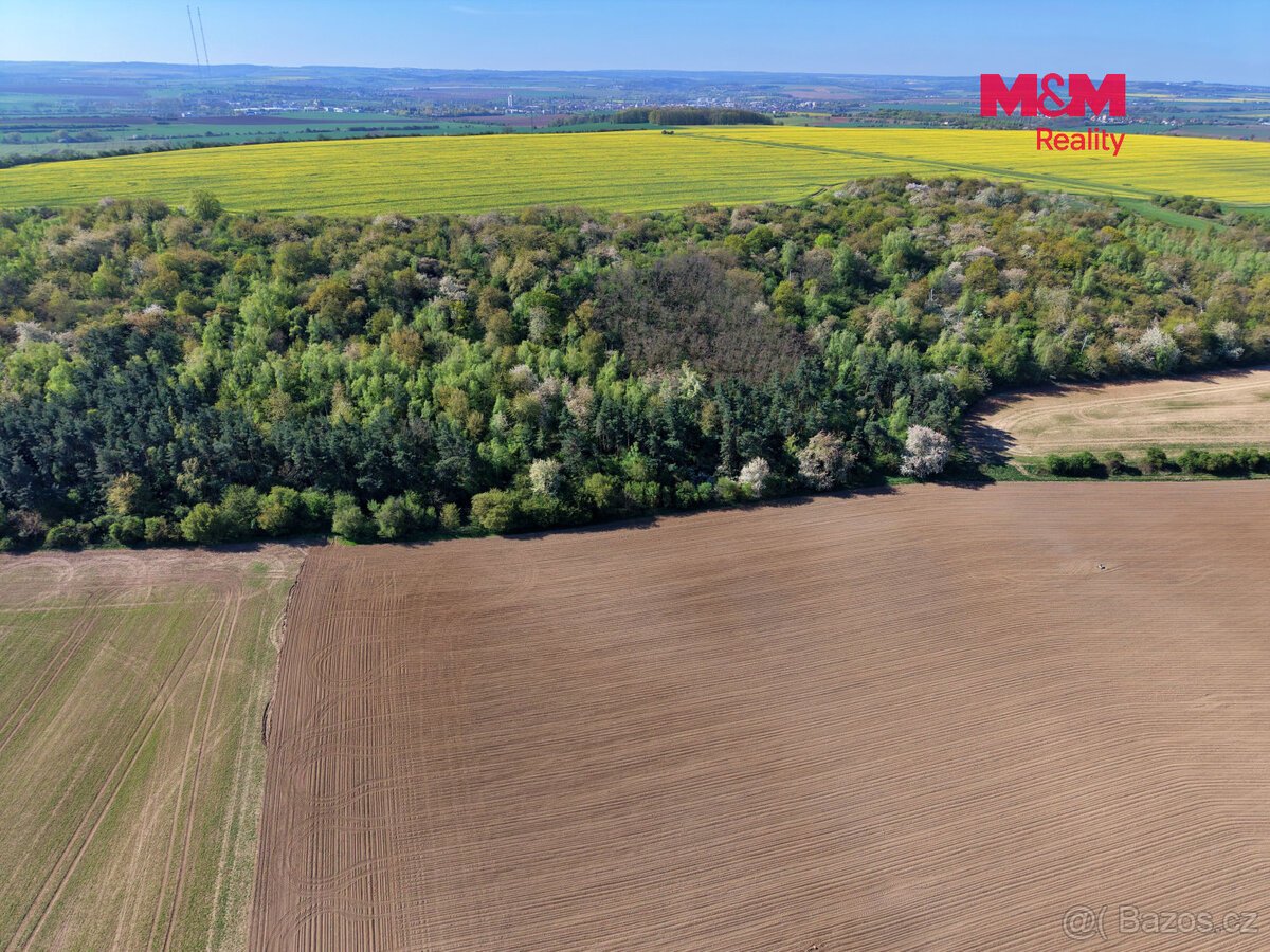 Prodej lesa, 5857 m², Kounice