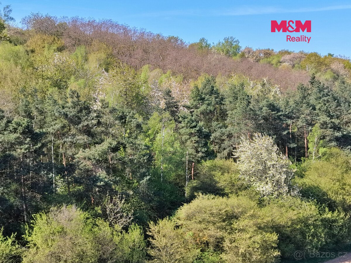 Prodej lesa, 5857 m², Kounice