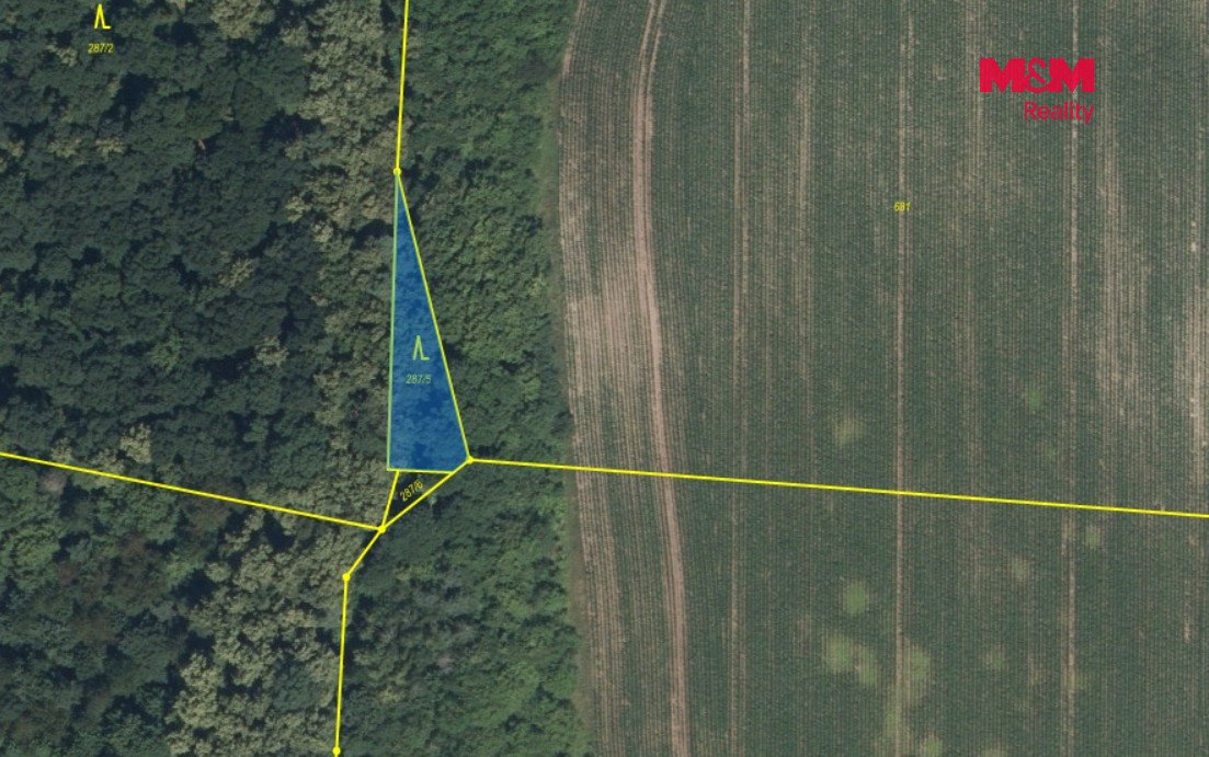 Prodej lesa, 5857 m², Kounice
