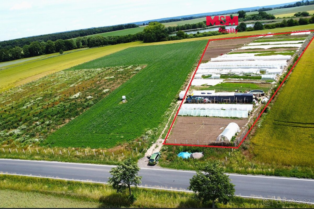 Prodej ovocného sadu, 18000 m², Nové Dvory
